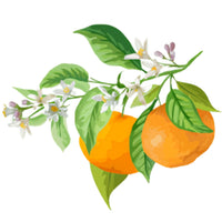 Mandarin