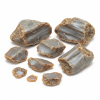 Ambergris