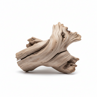 Drywood
