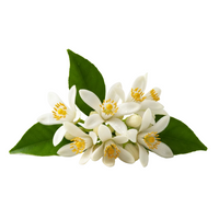 Neroli