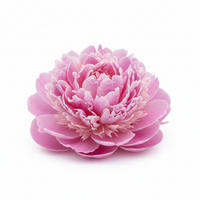 Peony